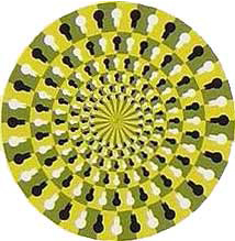 spinningspirals.jpg